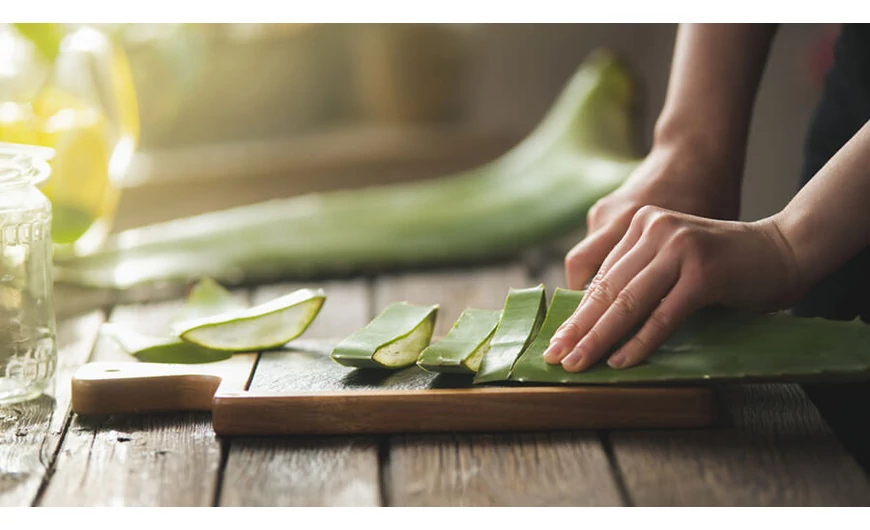 Az aloe vera gyógyhatásai és egészségügyi előnyei