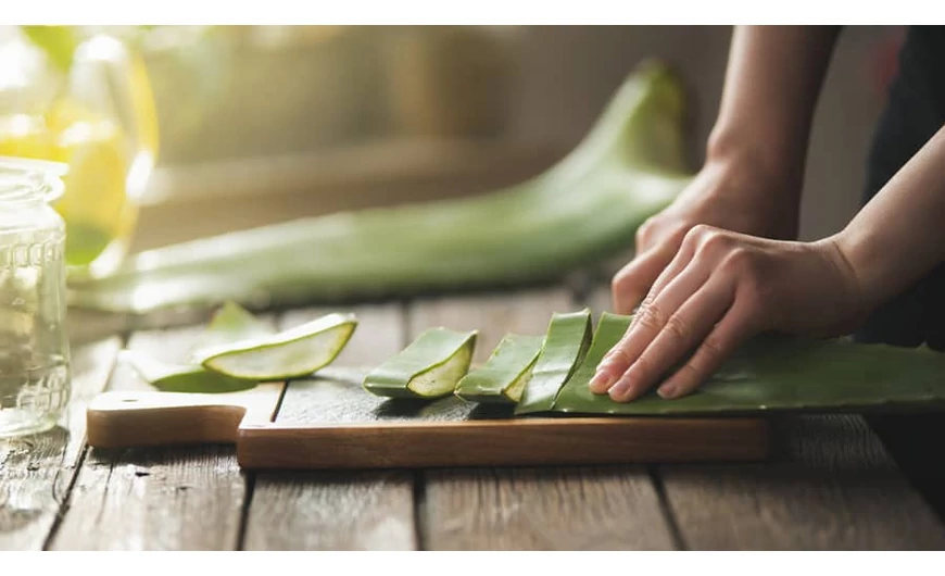 Az aloe vera gyógyhatásai