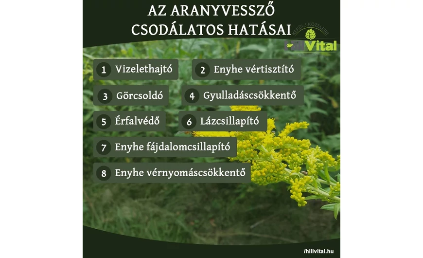 Az aranyvessző nagyszerű hatásai