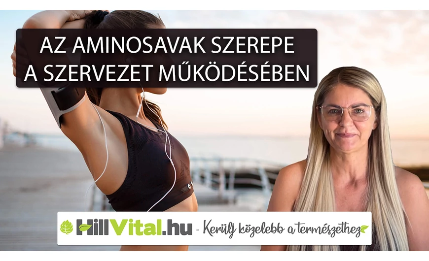 Az aminosavak szerepe a szervezet működésében