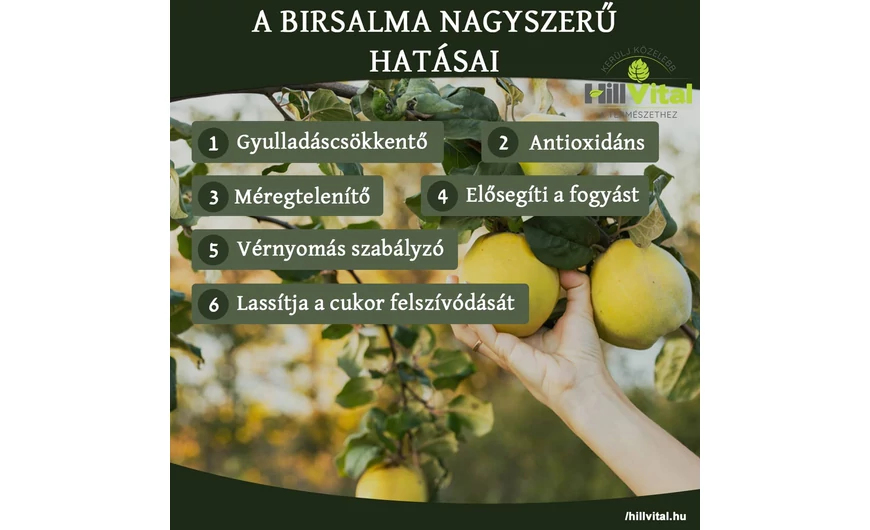 A birsalma jótékony hatásai