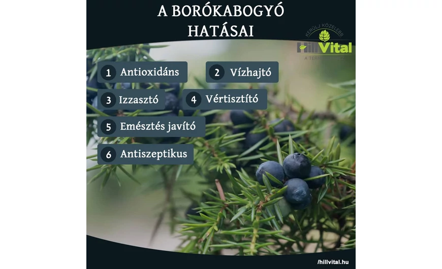 A borókabogyó hatásai