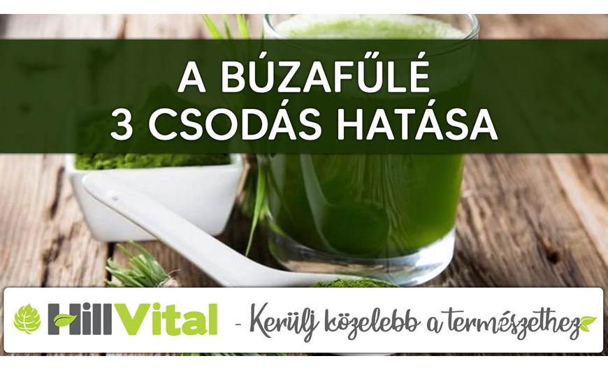 A búzafűlé 3 fontos élettani hatása
