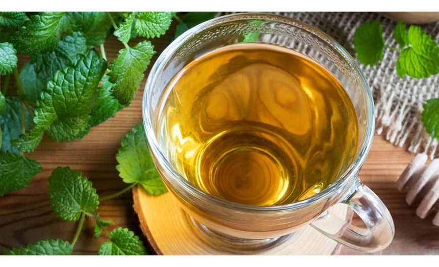 A citromfű tea előnyei, amelyeket nem szabad elhanyagolni