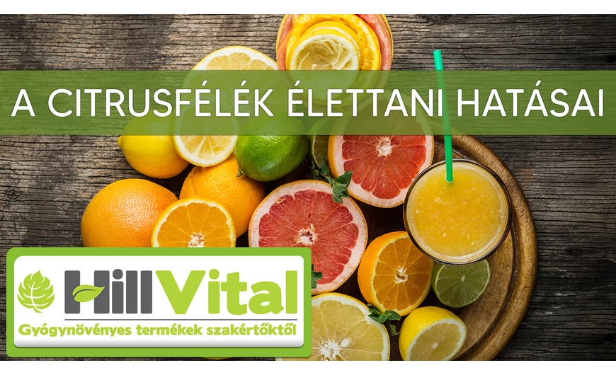 A legismertebb citrusfélék élettani hatásai