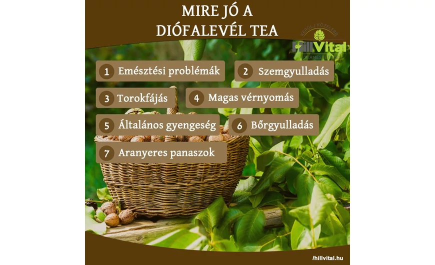 Mire jó a diófalevél tea?