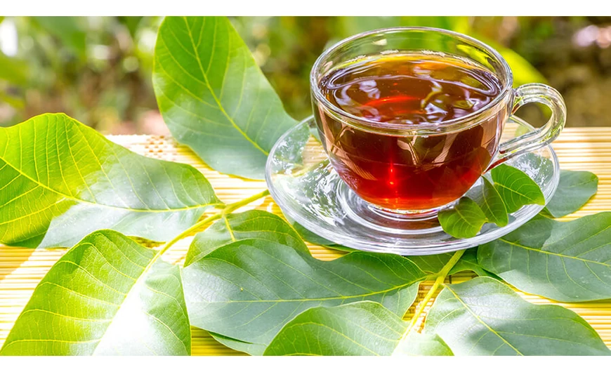 Fedezd fel a diófalevél tea egészségügyi előnyeit