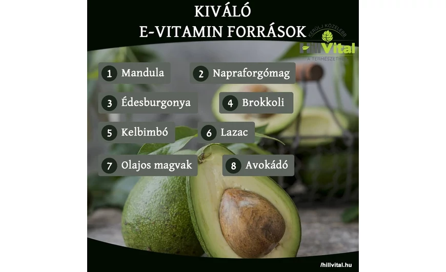 Kiváló E-vitamin források