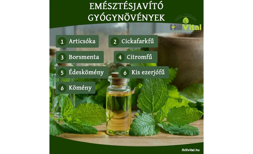 Emésztésjavító gyógynövények