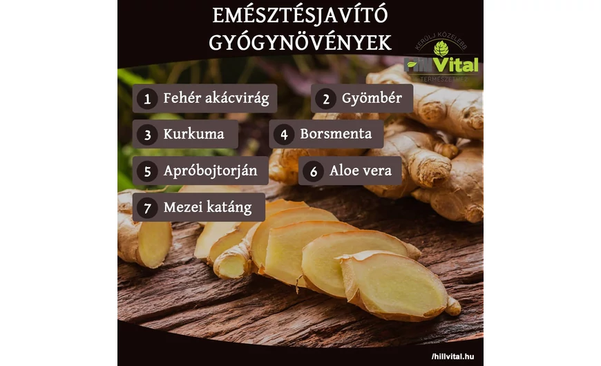 Emésztésjavító gyógynövények