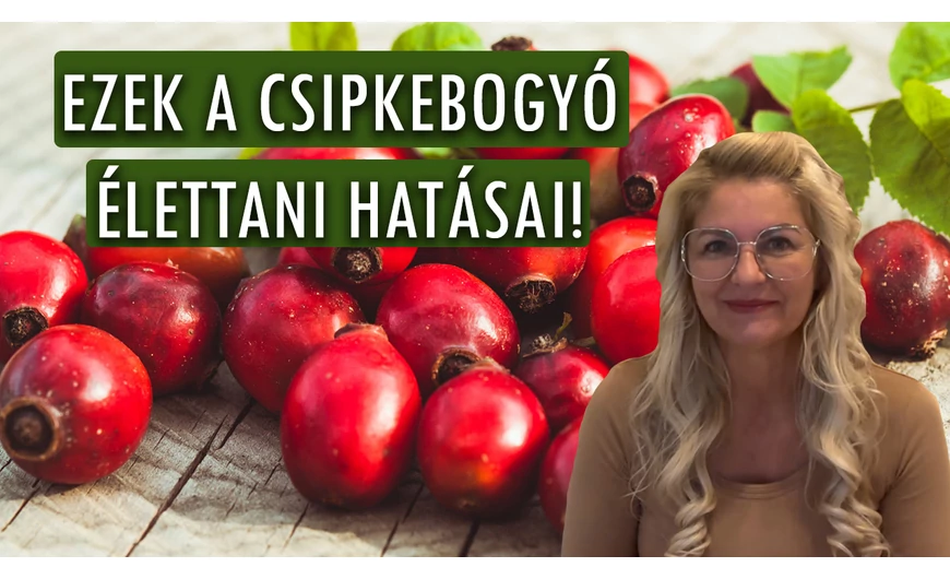 Csipkebogyó: A természet csodás gyógyereje – Fedezd fel jótékony hatásait!