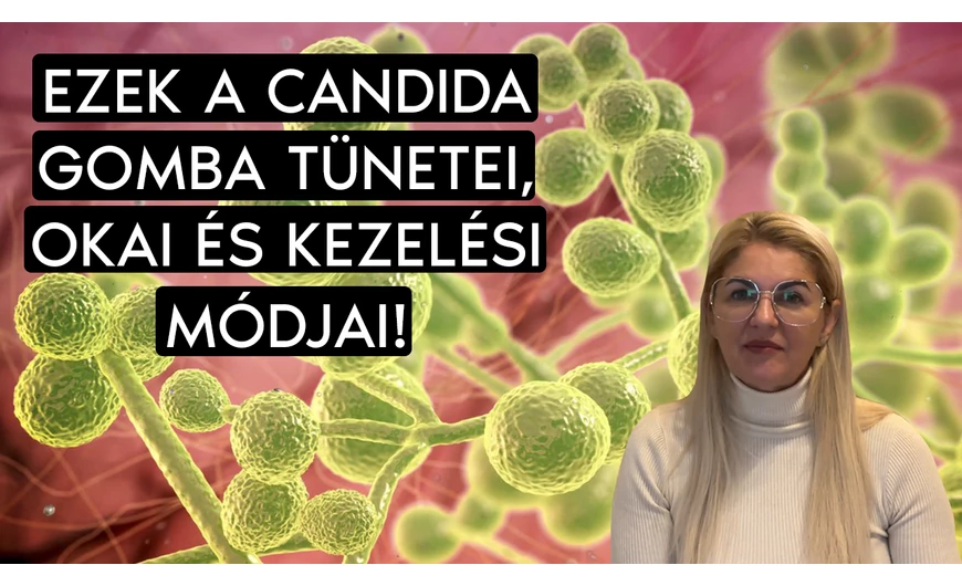 Minden amit tudni kell a candida gombáról
