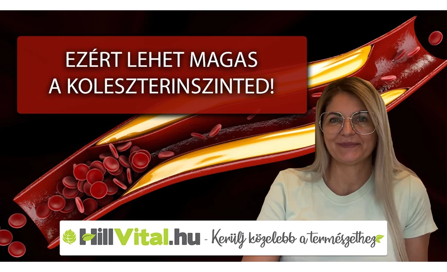 Ezért magas a koleszterinszinted!