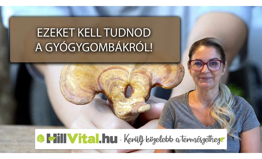 Ezeket kell tudnod a gyógygombákról!