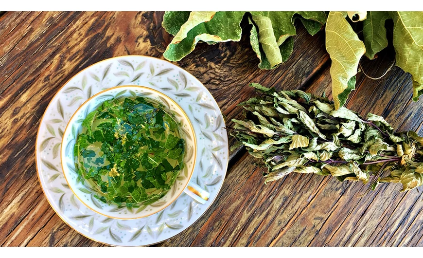 Fügelevél tea a cukorbetegség kezelésére