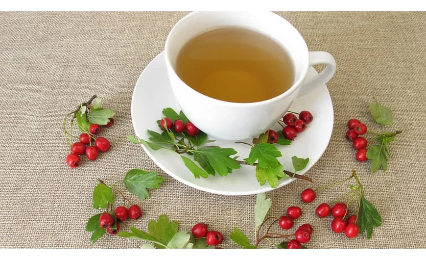 A galagonya tea hatásai, melyek miatt érdemes a fogyasztása