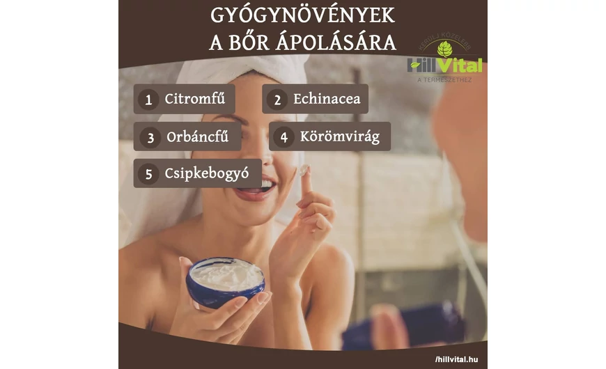 Gyógynövények a bőr ápolására