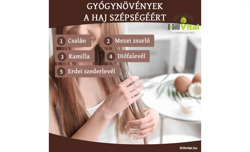 Gyógynövények a haj szépségéért