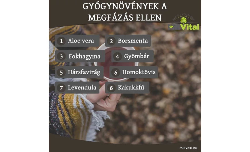 Gyógynövények megfázás ellen