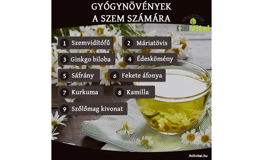 Gyógynövények a szem számára