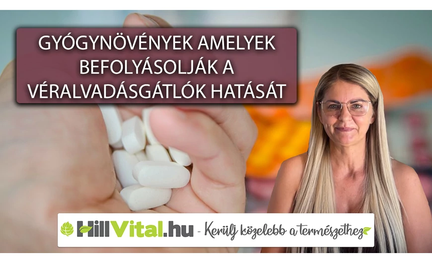 Ezek a gyógynövények befolyásolják a véralvadásgátlókat!