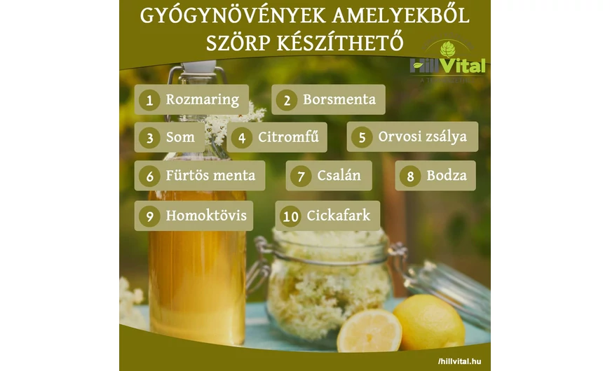 Gyógynövények, amelyekből szörp készíthető