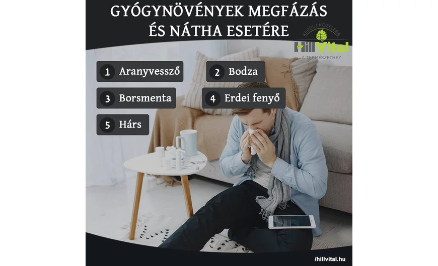 Gyógynövények megfázás és nátha esetére