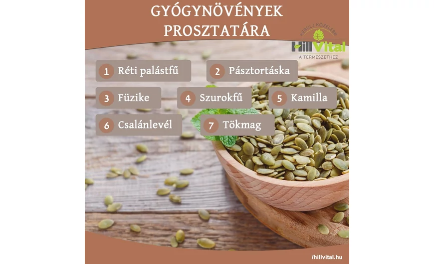 A 7 legjobb gyógynövény prosztatára
