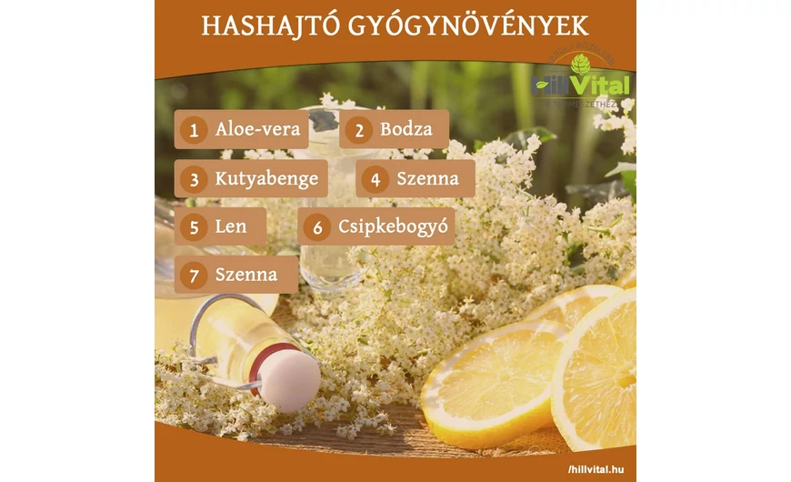 Hashajtó gyógynövények