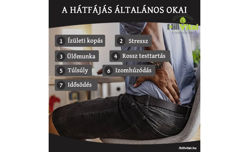 A hátfájás általános okai