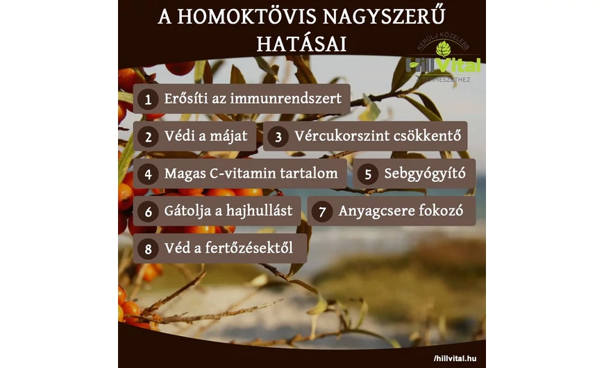 A homoktövis 8 nagyszerű hatása