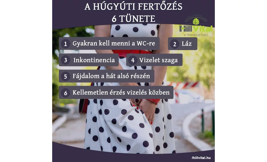 A húgyúti fertőzés 6 tünete