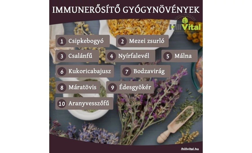 Immunerősítő gyógynövények