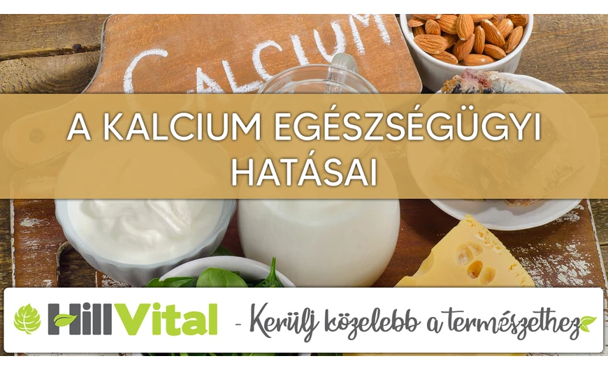 A kalcium fontos a szervezet számára