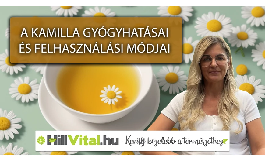 Ezek a kamilla gyógyhatásai és felhasználási módjai!