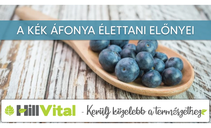 Ezért érdemes kék áfonyát fogyasztanod! 