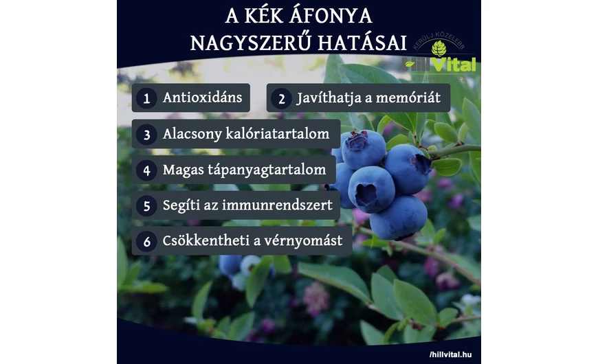 A kék áfonya hatásai