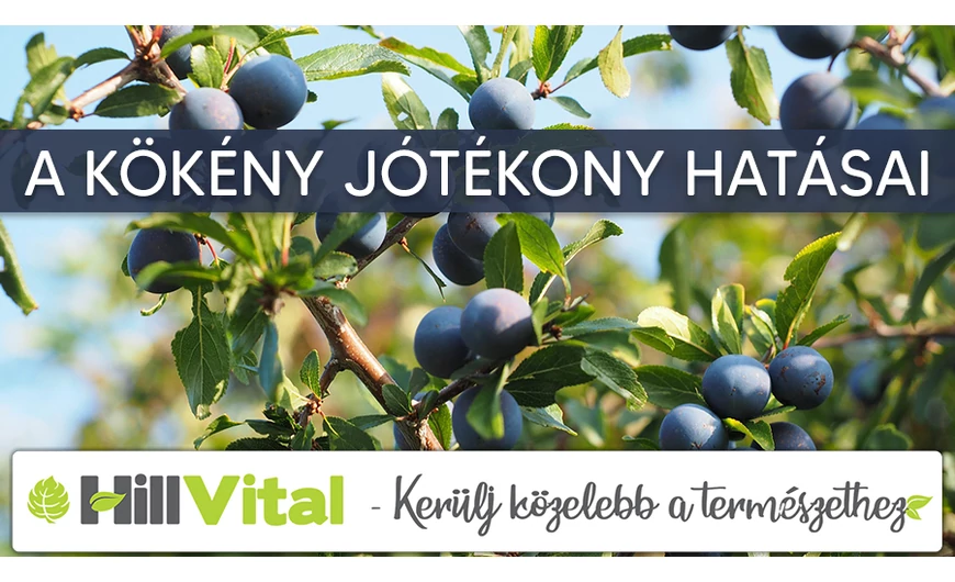 A kökény jótékony hatásai