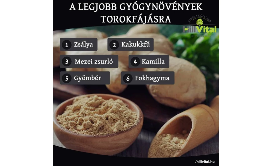 A legjobb gyógynövények torokfájásra