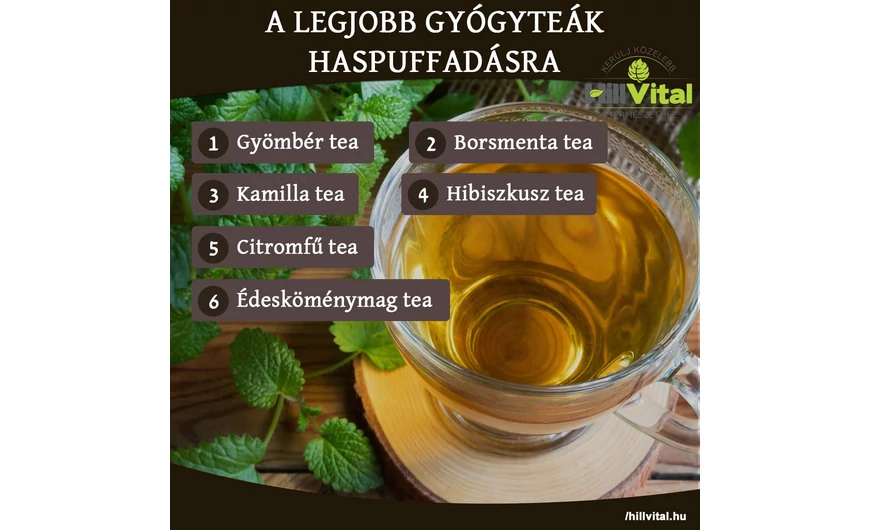 A legjobb gyógyteák haspuffadásra