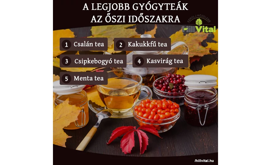 Legjobb gyógyteák az őszi időszakra