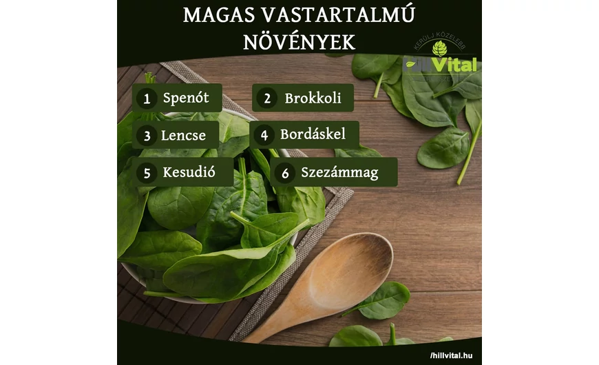 Magas vastartalmú növények