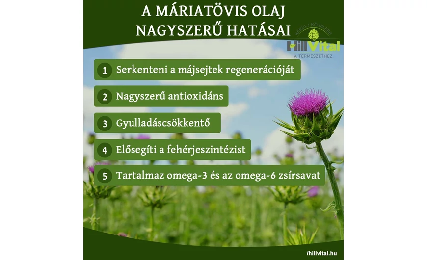 A máriatövismag olaj csodálatos hatásai