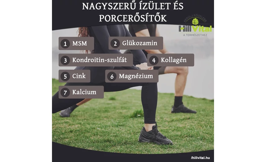 Nagyszerű ízület és porcerősítők 