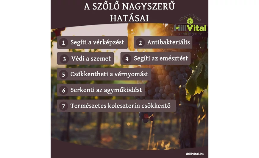 A szőlő nagyszerű hatásai
