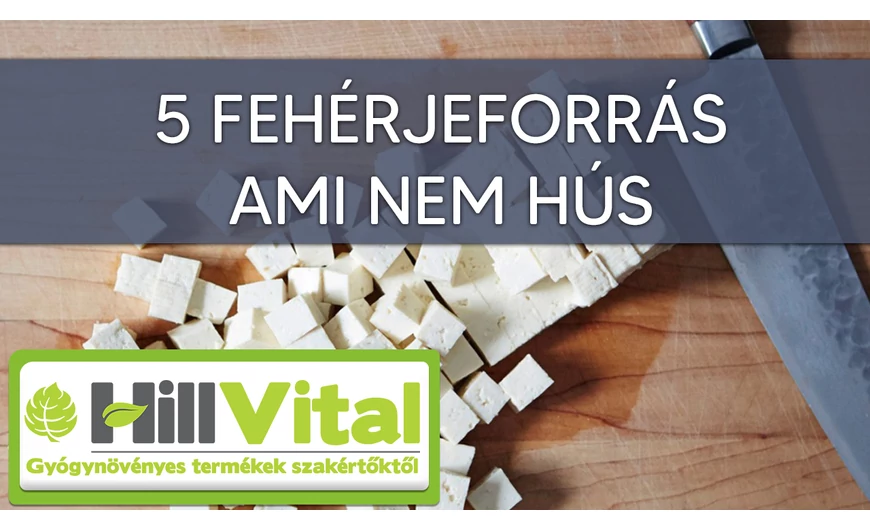 Fehérjebevitel hús nélkül