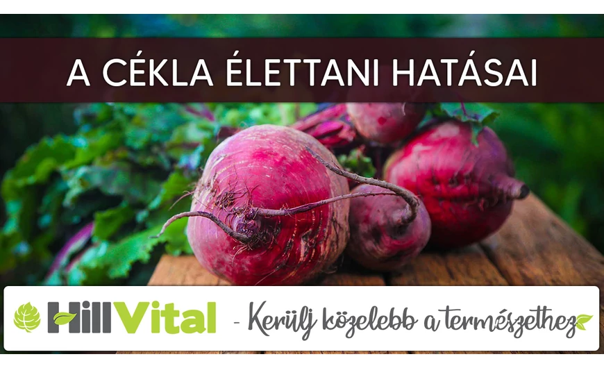A cékla csodás élettani hatásai