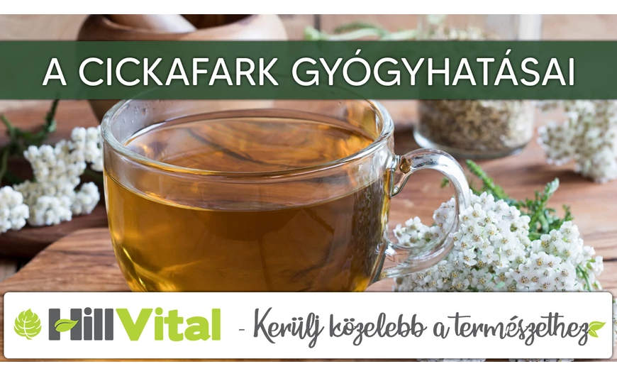 A cickafark gyógyhatásai