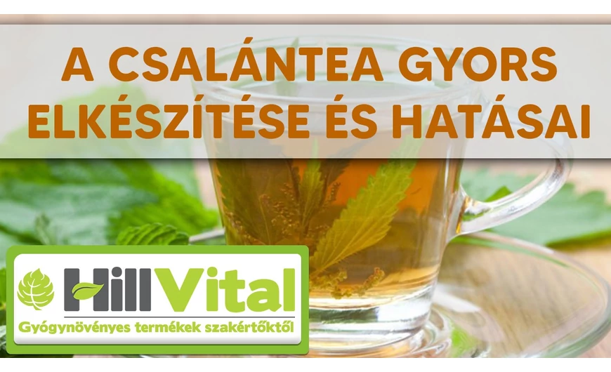 A csalántea csodás hatásai és gyors elkészítése
