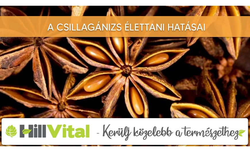 A csillagánizs csodás élettani hatásai 